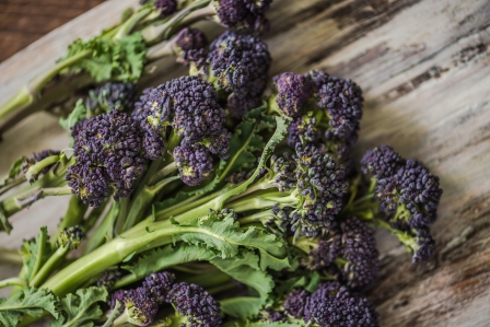 Why is Purple Sprouting Broccoli a Must Have Addition to your Menu?