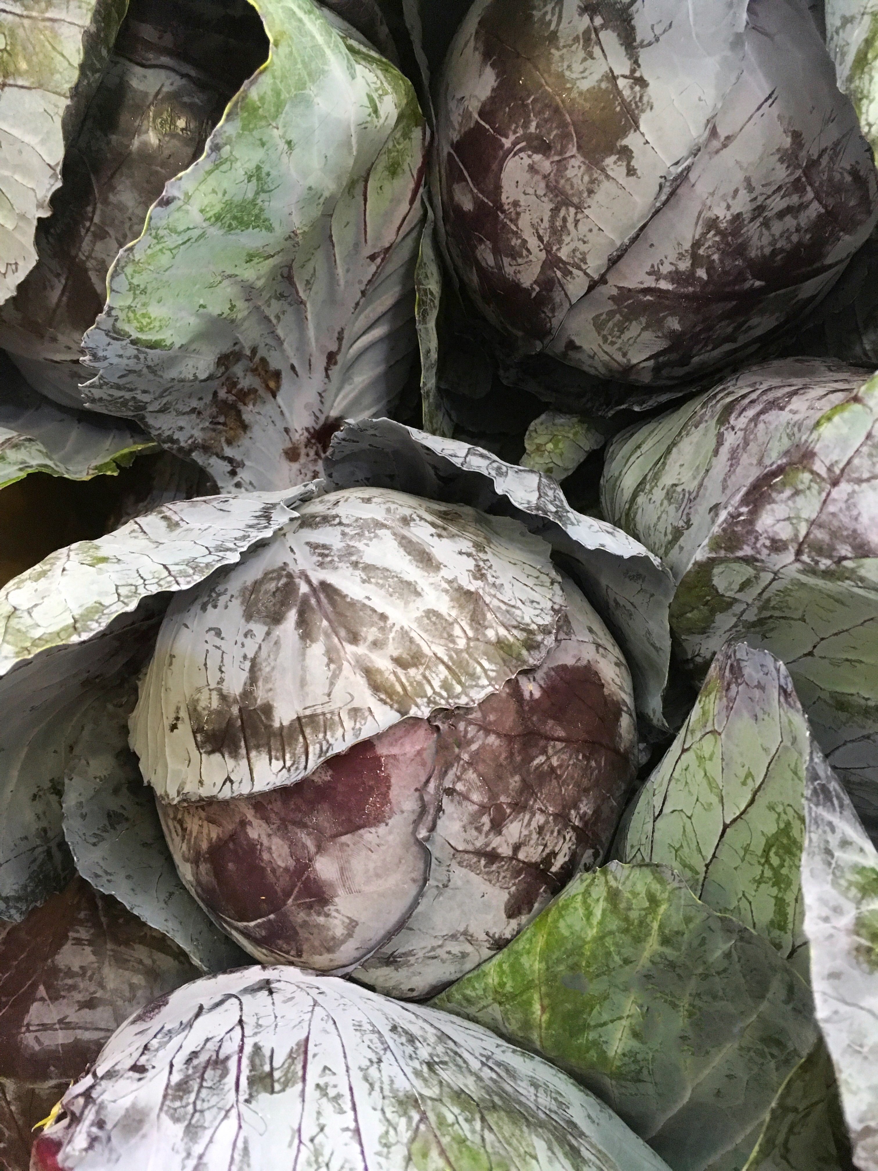 Red Cabbage Slaw